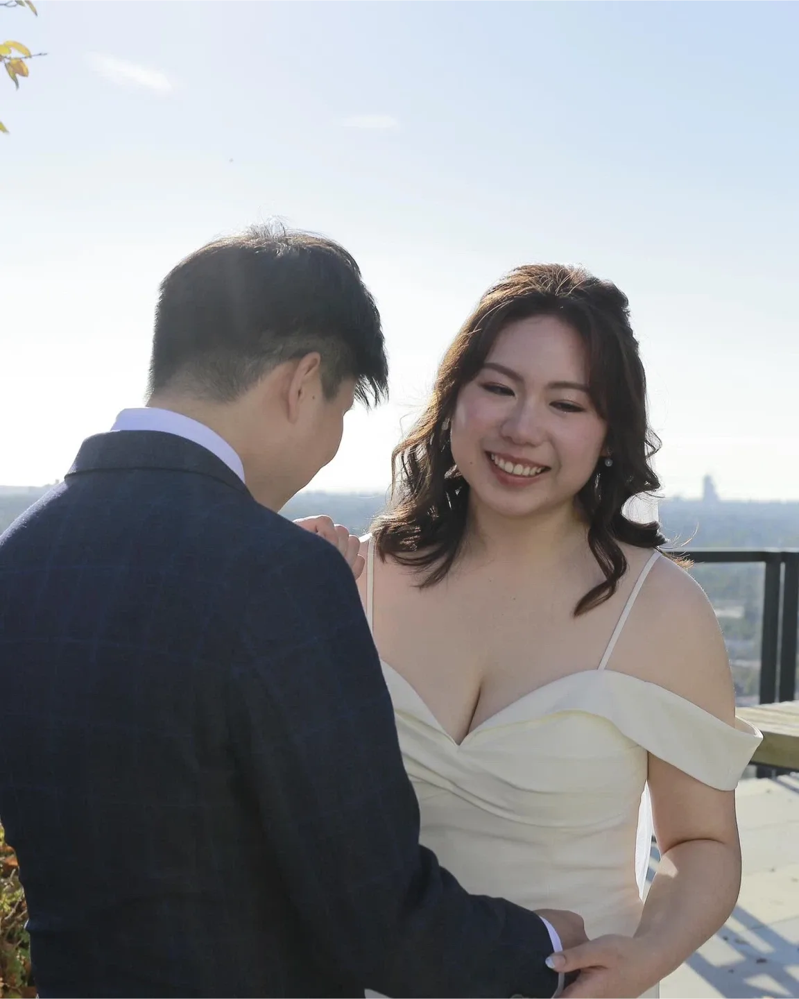 Wedding dress image indicator(4)