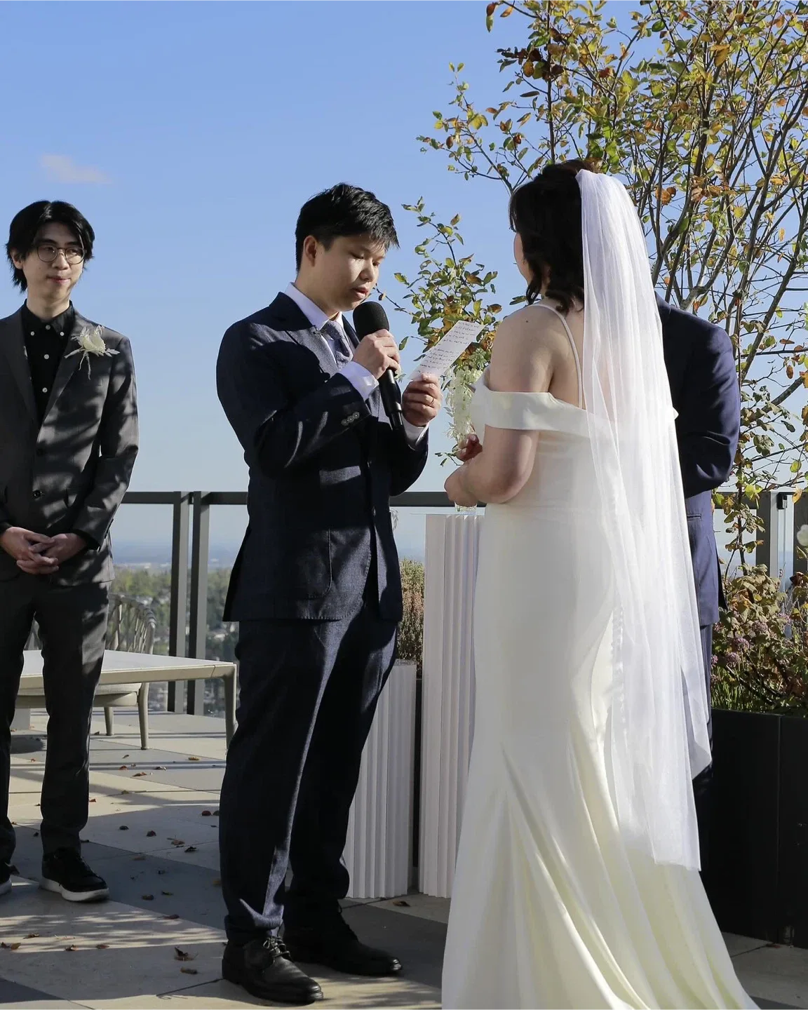 Wedding dress image indicator(3)