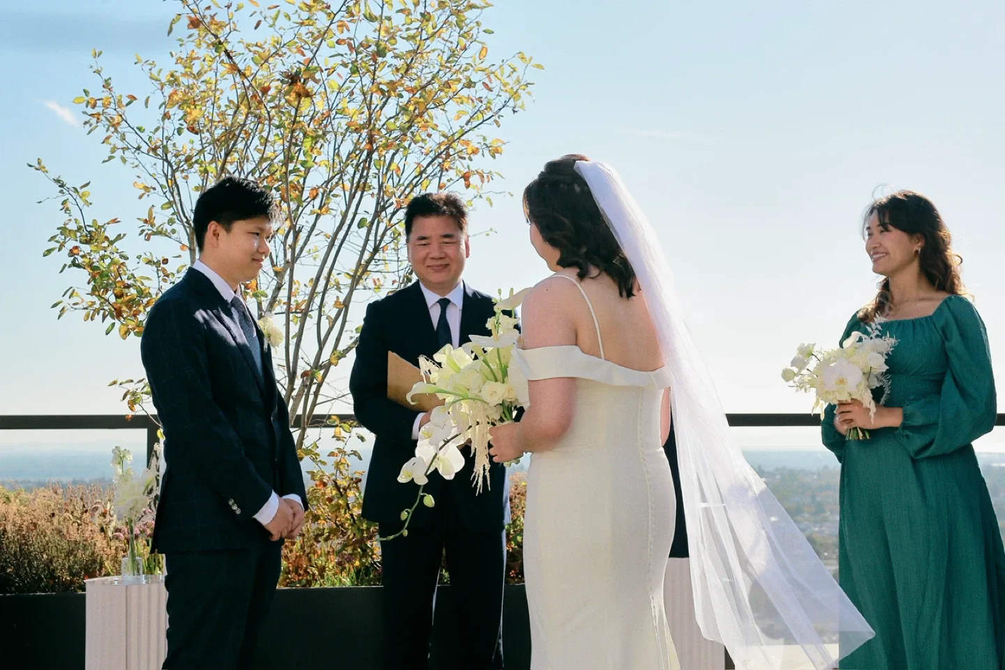 Wedding dress image indicator(7)