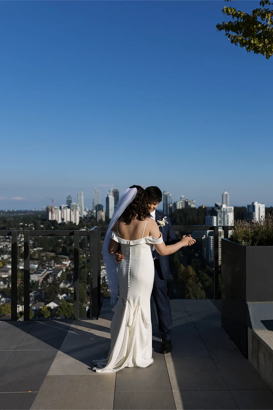 Wedding dress image indicator(8)