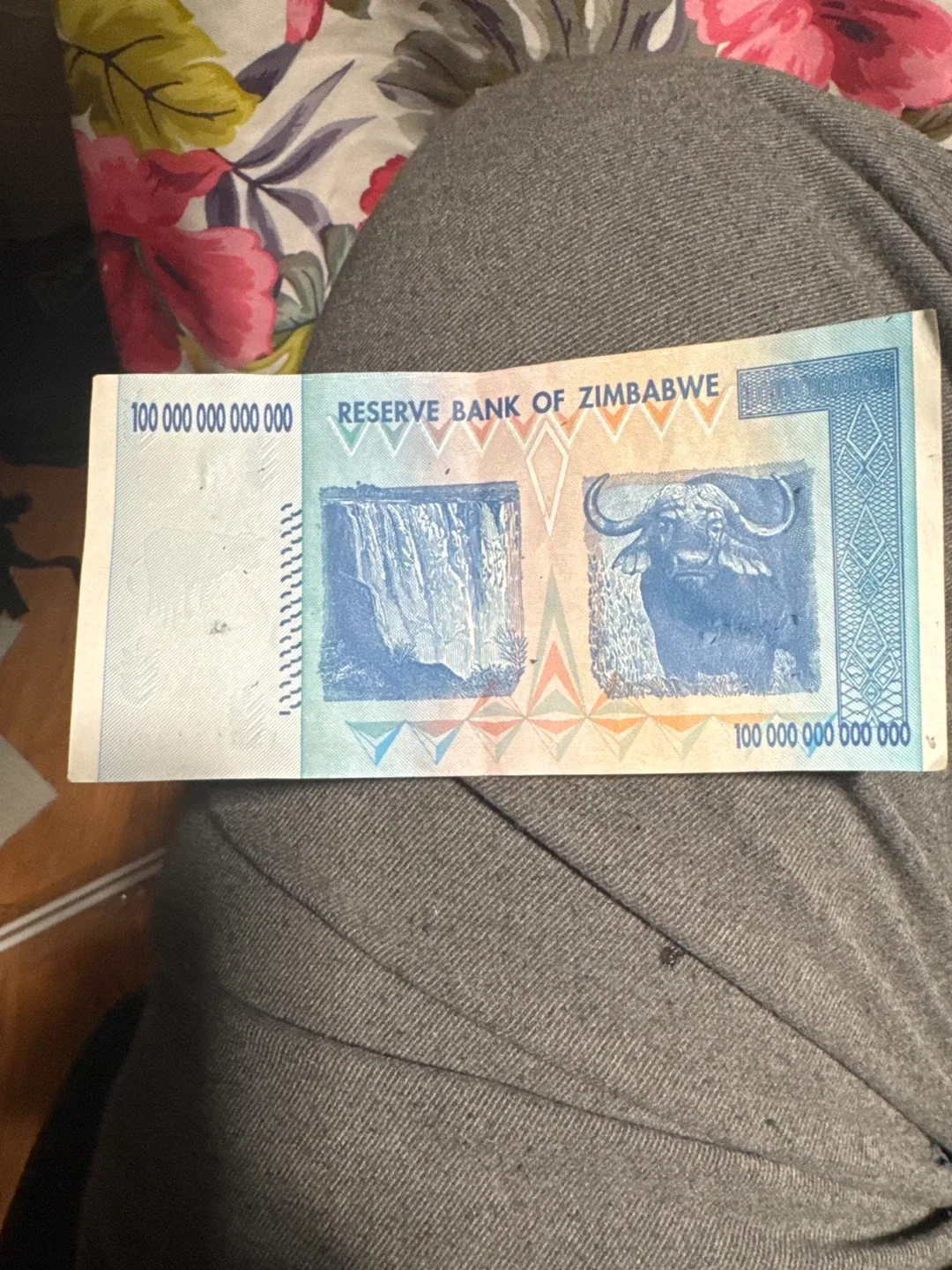 100T Zimbabwe Bank Note image indicator(2)