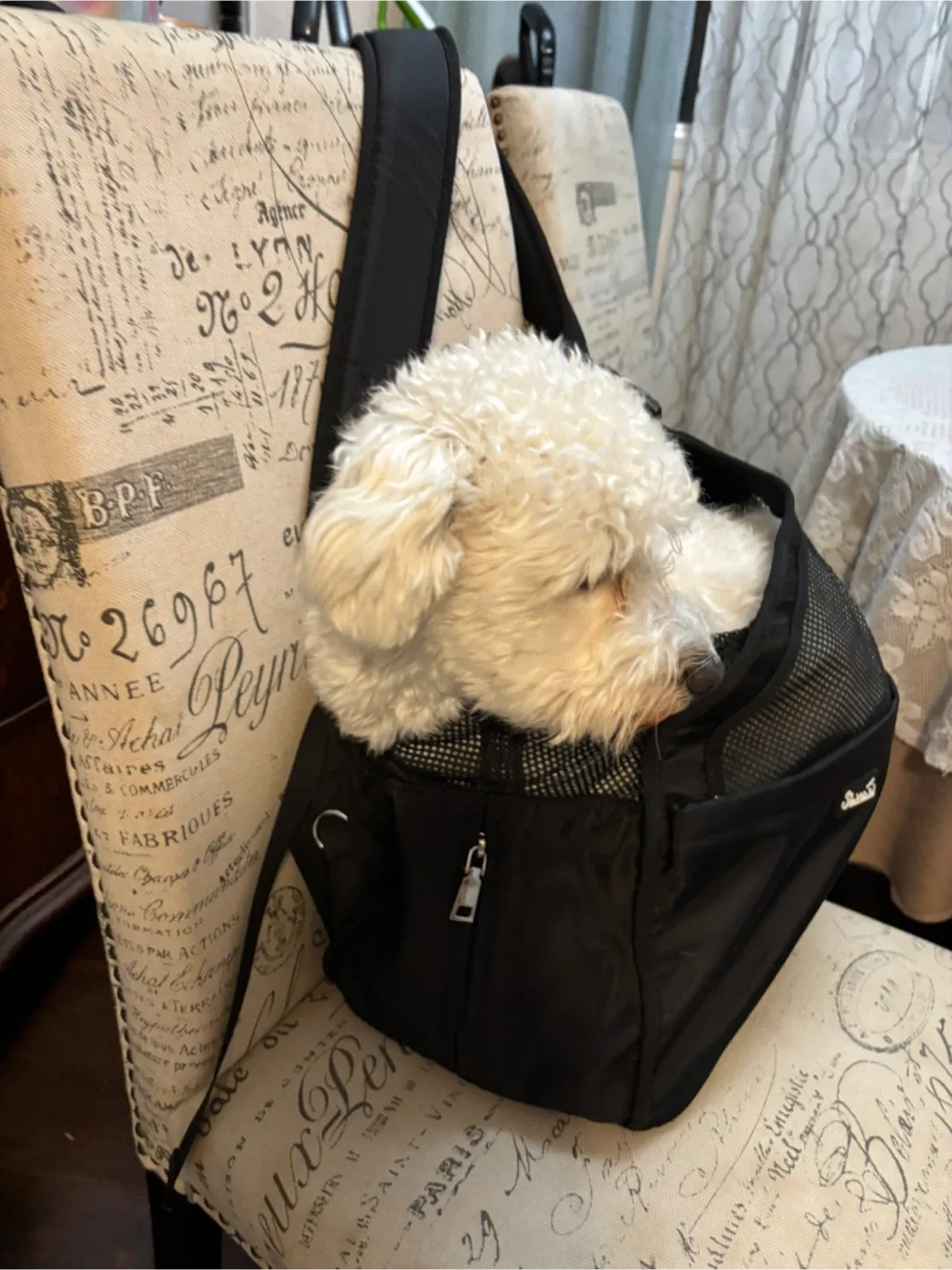 Black Pet Carrier Sling Bag image indicator(2)