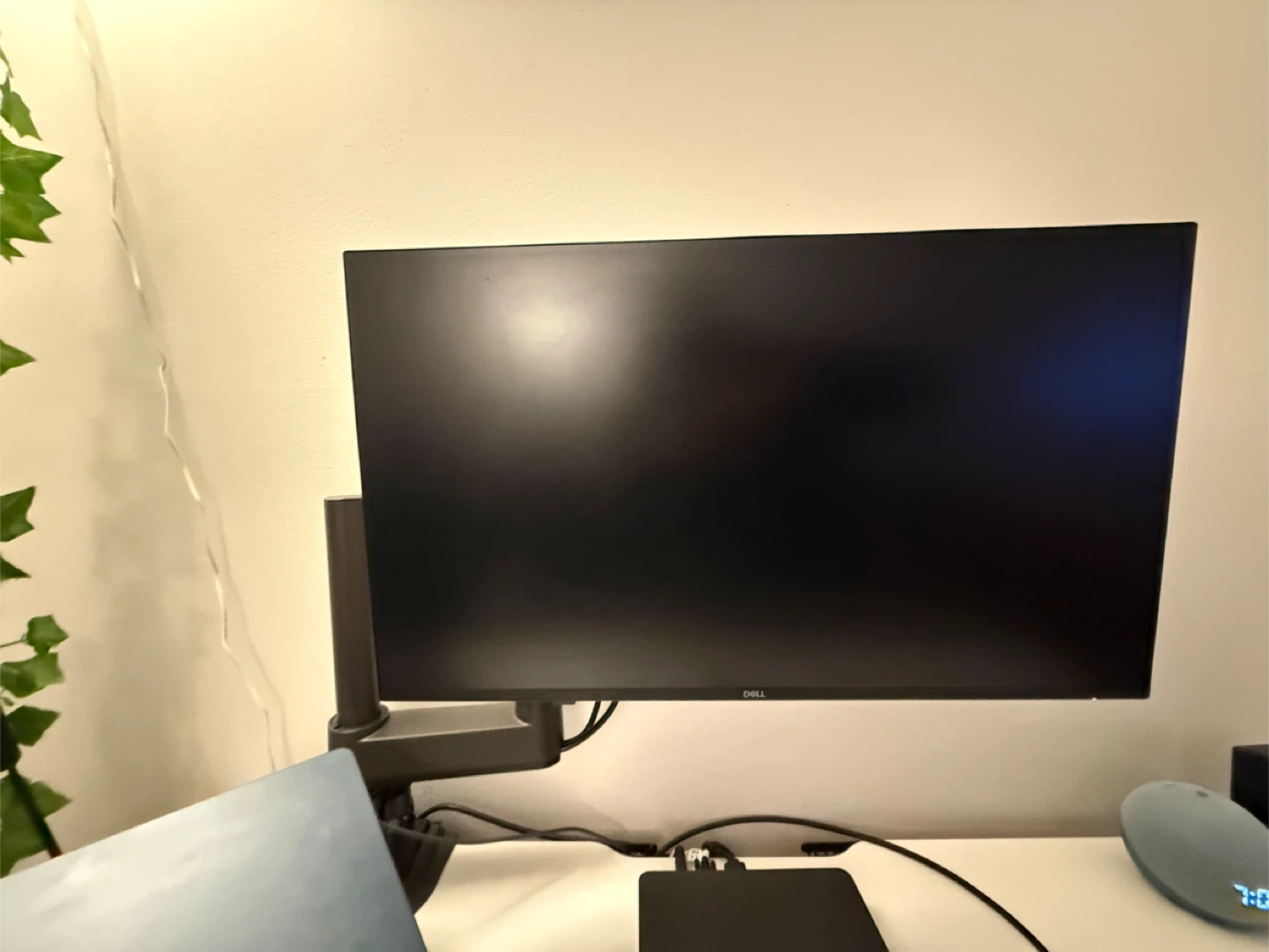 Dell 24” Plus Monitor Only