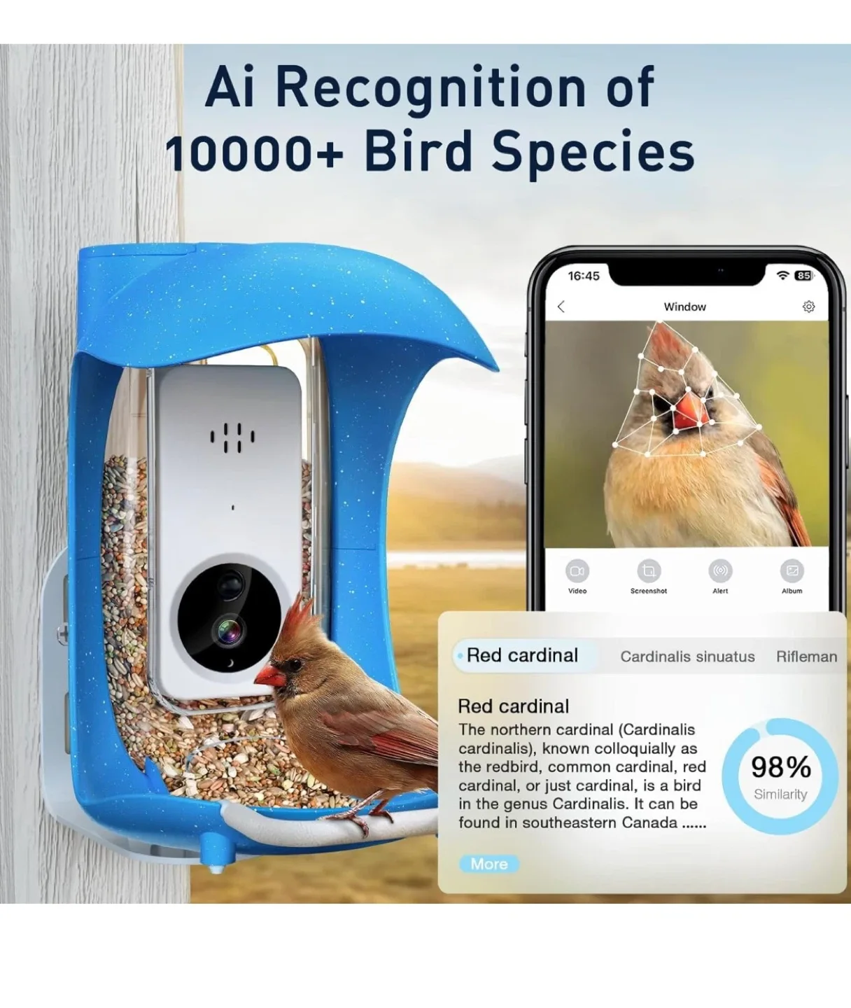BirdDock Smart Bird Feeder - New in Box! image indicator(6)