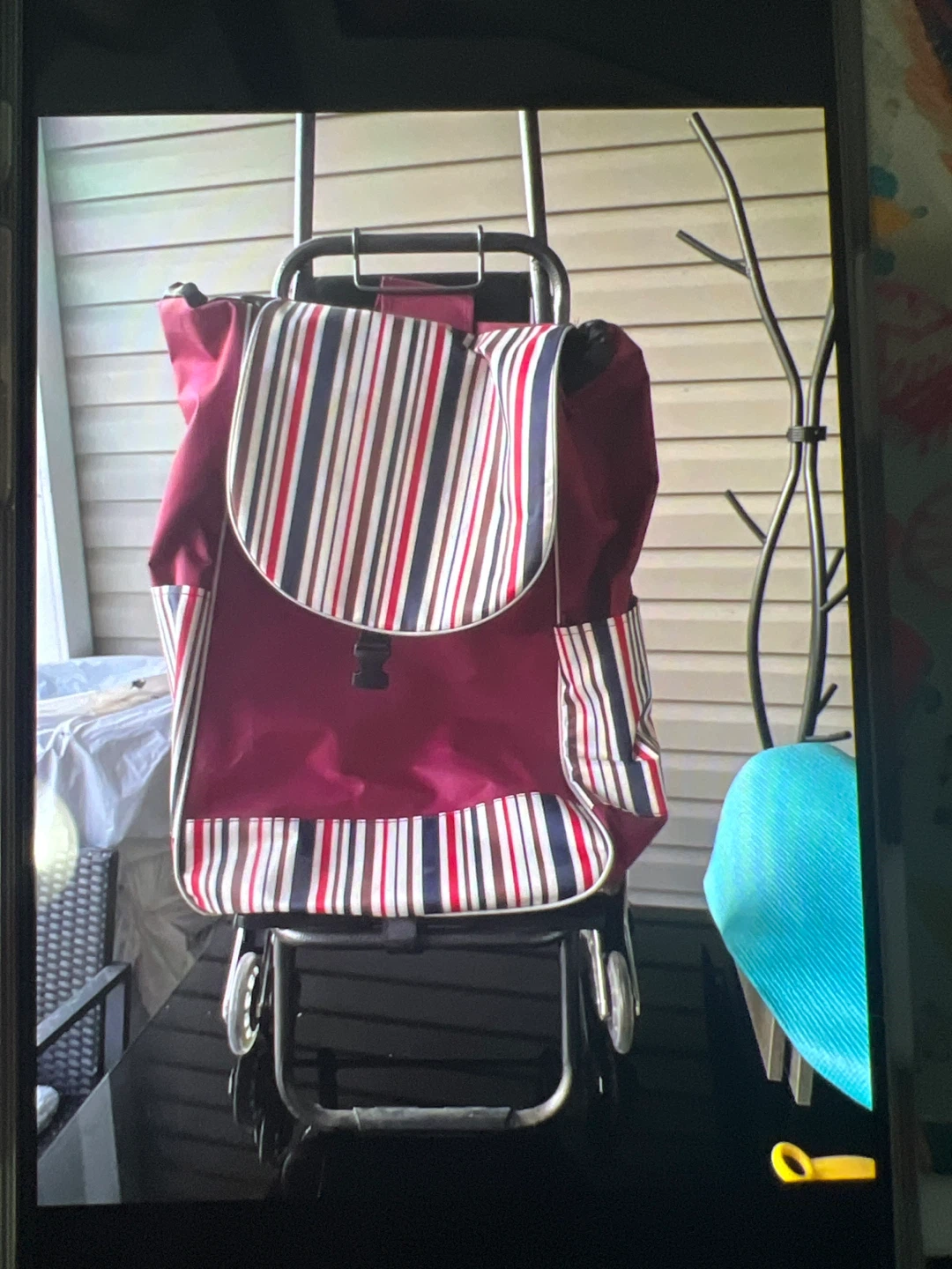 Striped Rolling Shopping Cart