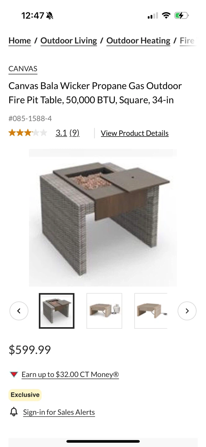 CANVAS Bala Wicker Propane Gas Outdoor Fire Pit Table - photo 2