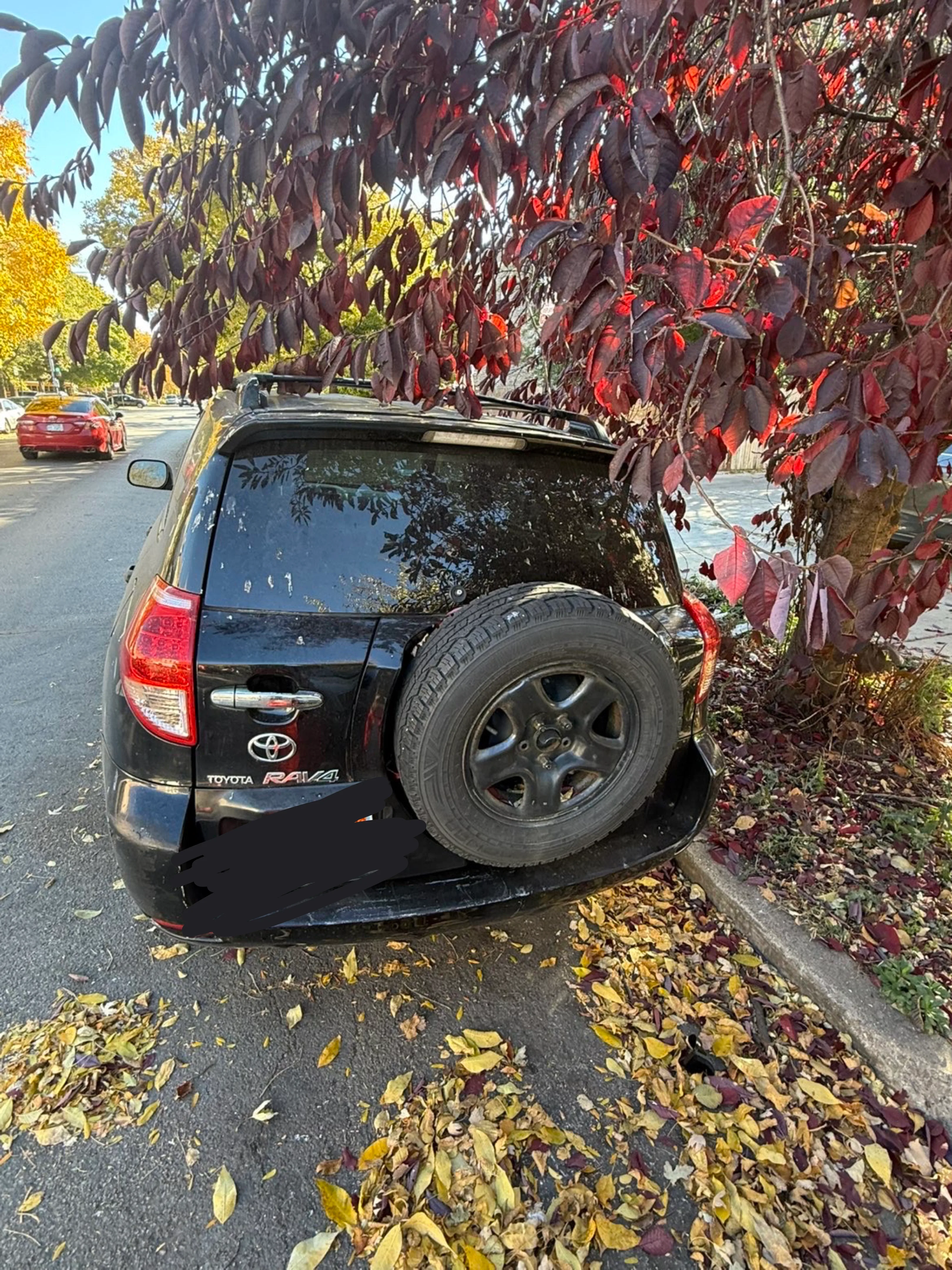 Toyota RAV4 image indicator(2)