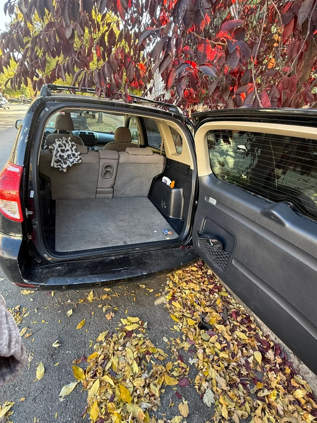 Toyota RAV4 image indicator(5)