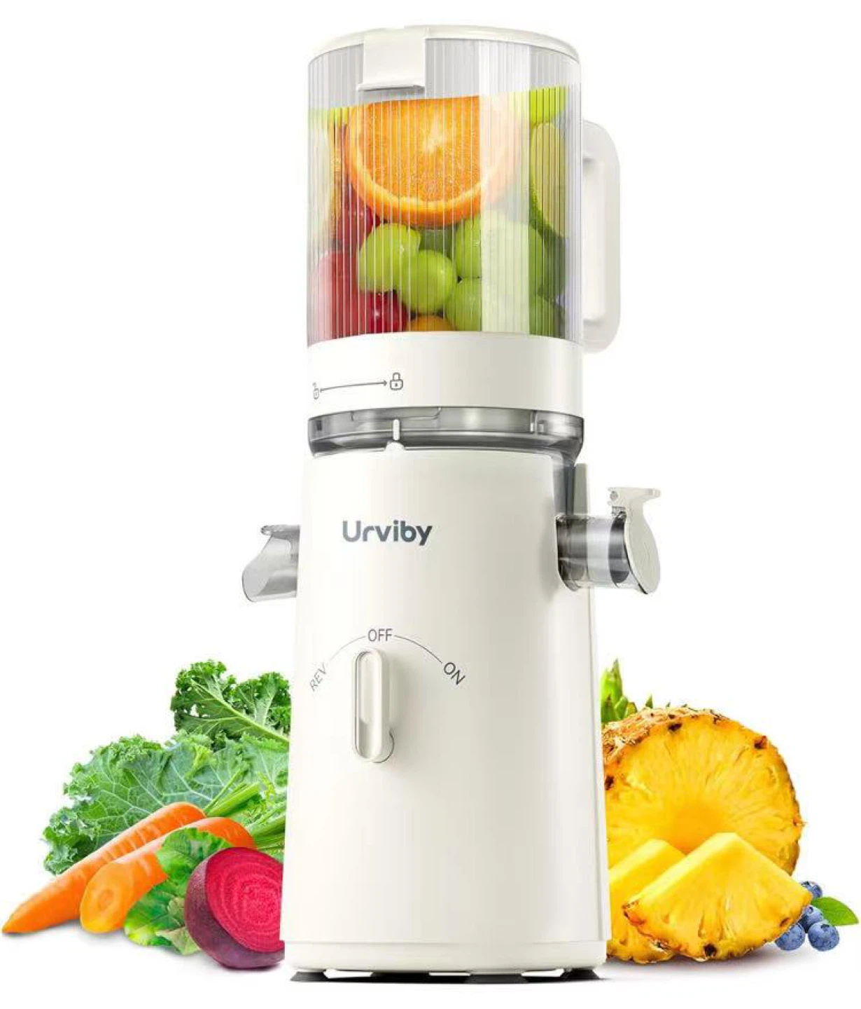 Slow Masticating Juicer