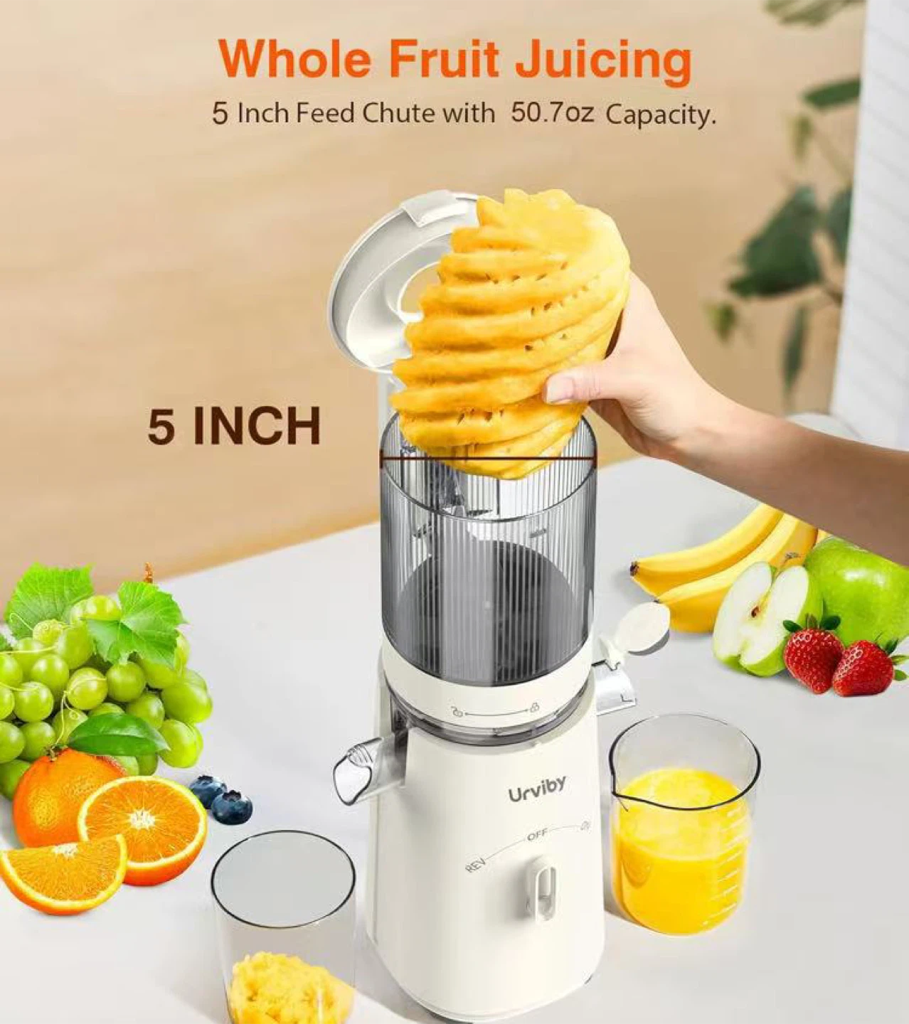 Slow Masticating Juicer - photo 2