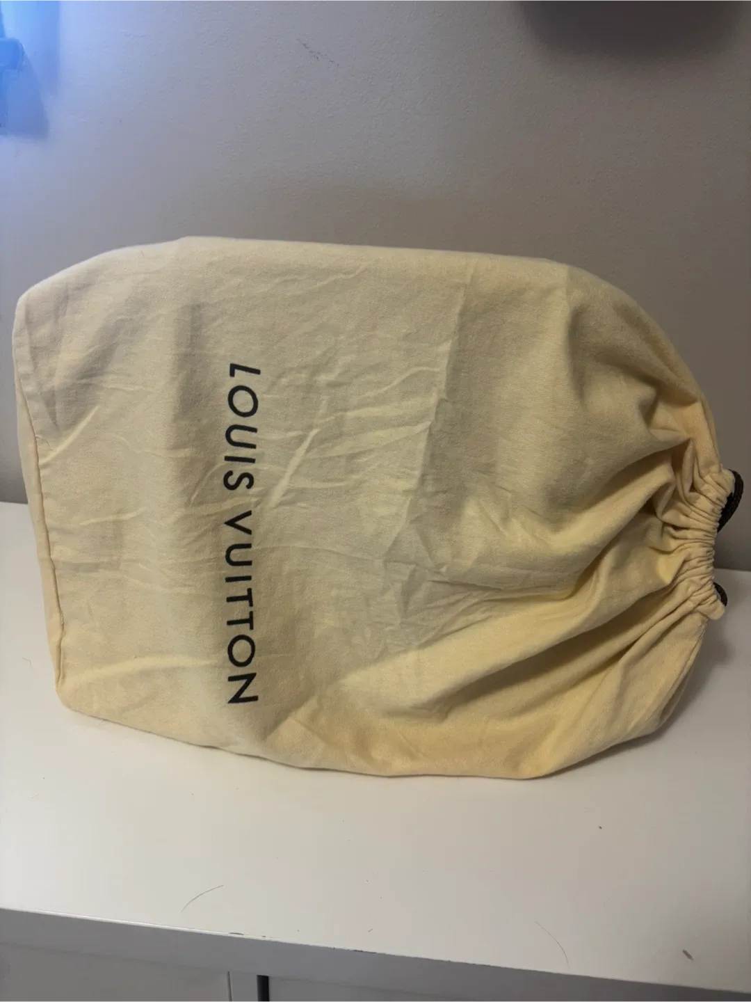 Louis Vuitton Epi Leather Black Tote Bag image indicator(7)