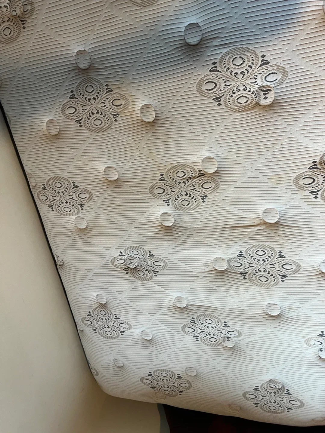 Twin BeautySleep Westminster Palace Mattress image indicator(2)