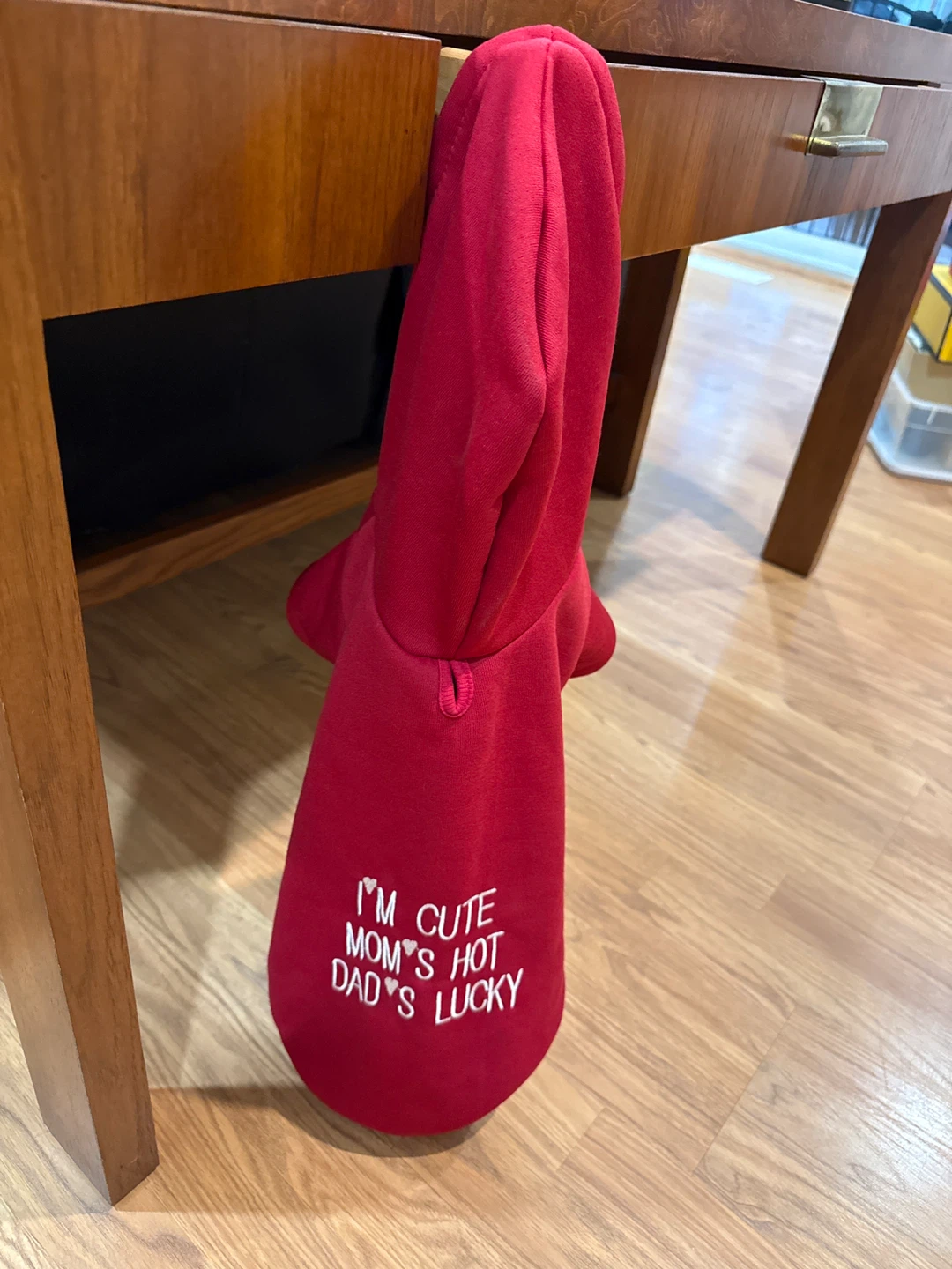 Red "I'm Cute" Dog Hoodie