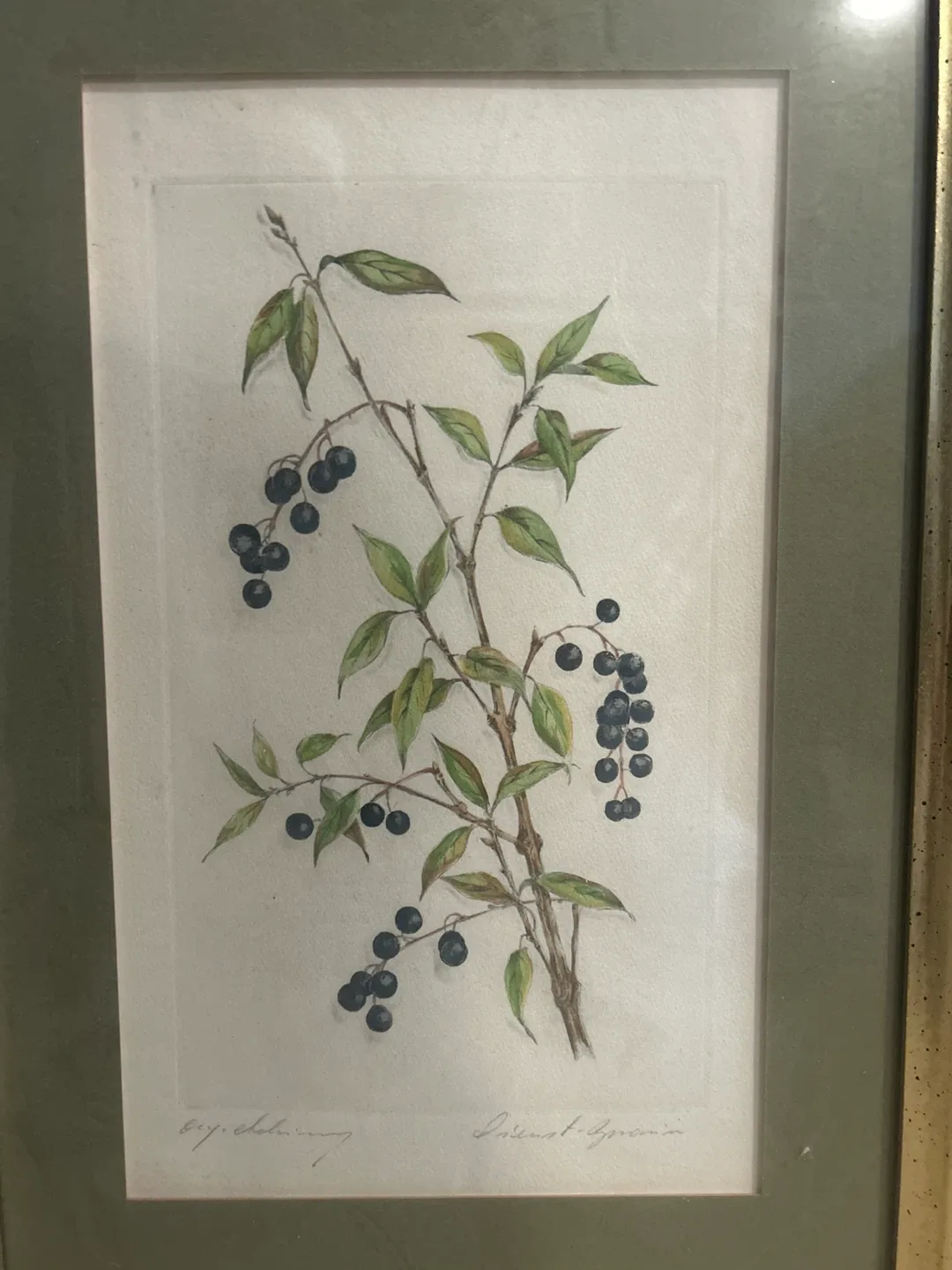 Botanical Lithographs Prints 1/1 set of 2 image indicator(3)