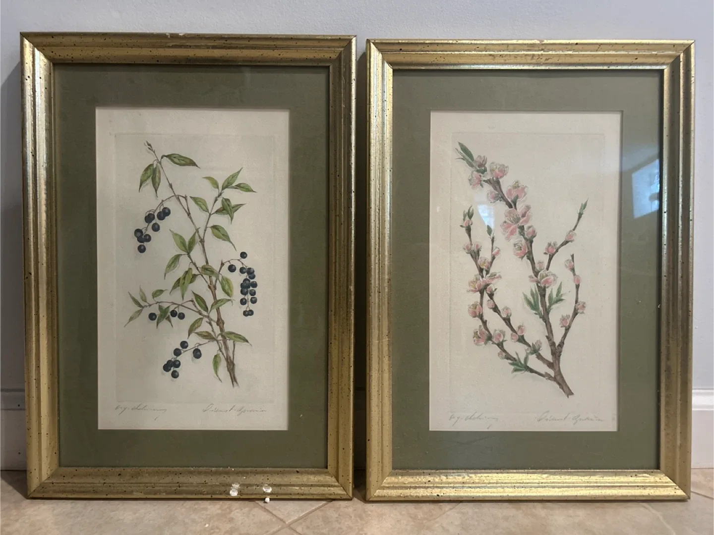Botanical Lithographs Prints 1/1 set of 2