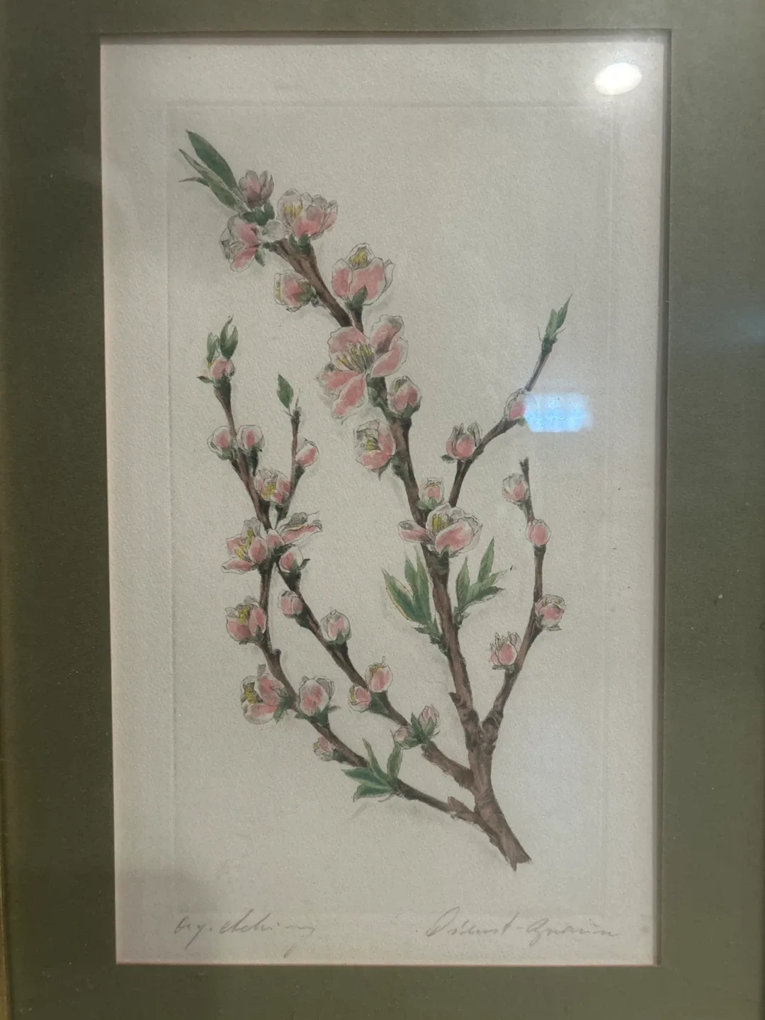 Botanical Lithographs Prints 1/1 set of 2 image indicator(2)