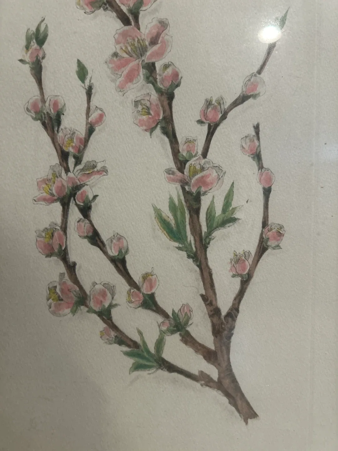 Botanical Lithographs Prints 1/1 set of 2 image indicator(4)