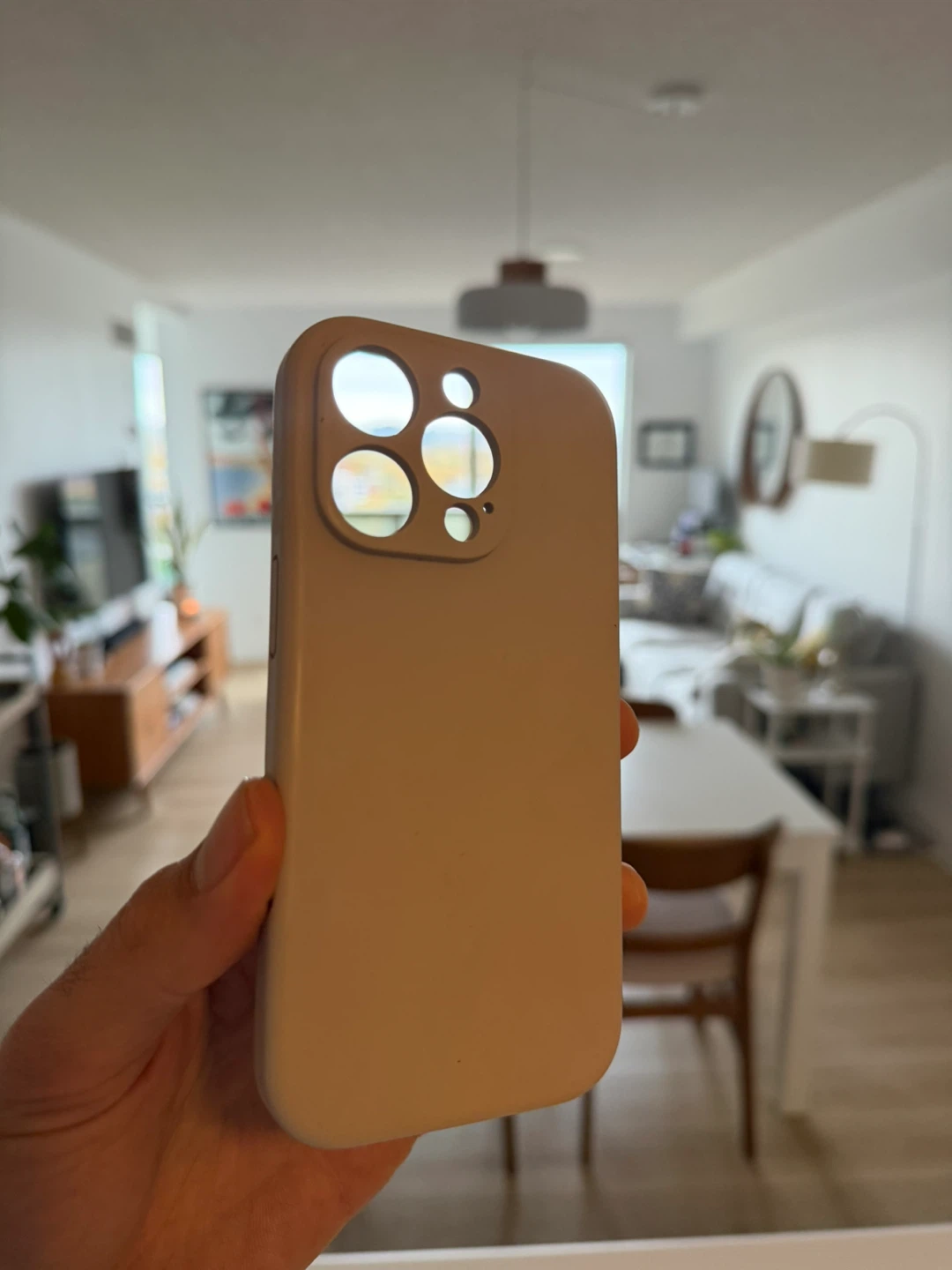 iPhone 16 Pro Case