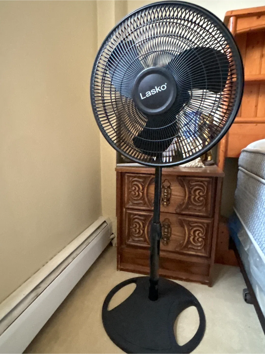 Electric Stand Fan