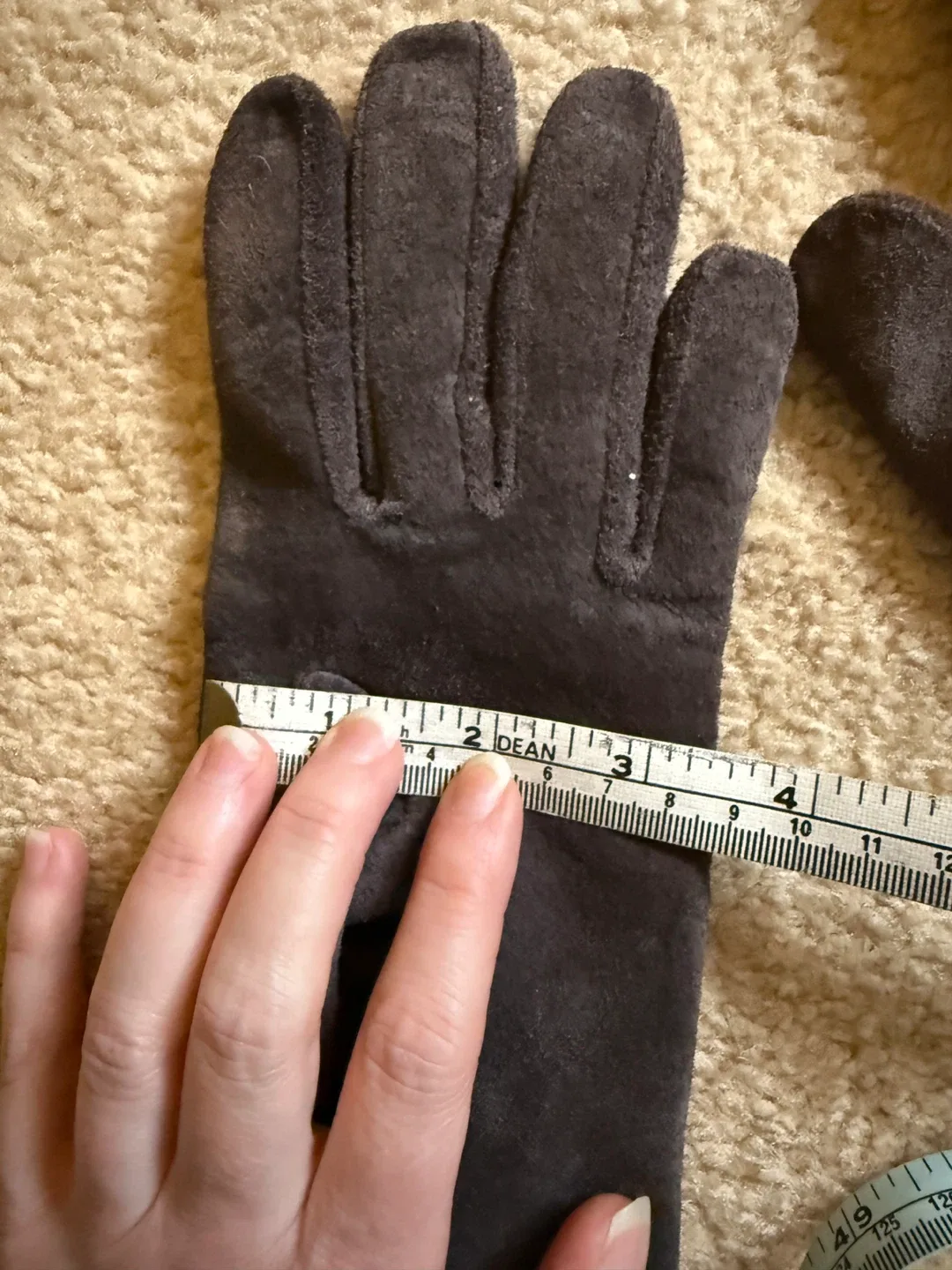 Brown Suede Gloves with Fur Trim image indicator(10)