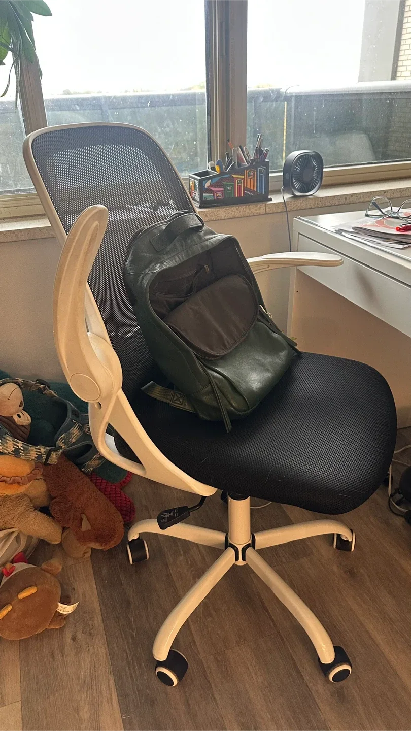 Ergonomic Desk Chair - White image indicator(2)