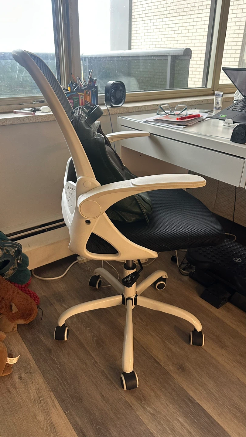Ergonomic Desk Chair - White