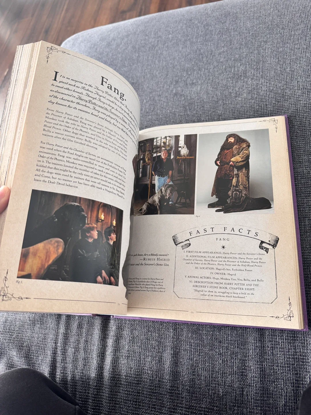 Harry Potter: The Creature Vault Book image indicator(2)
