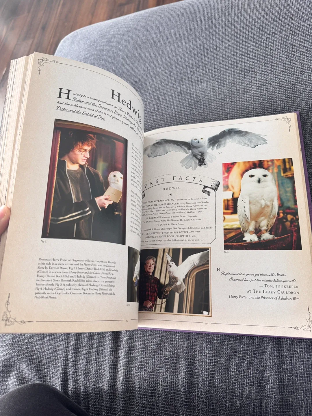 Harry Potter: The Creature Vault Book image indicator(3)