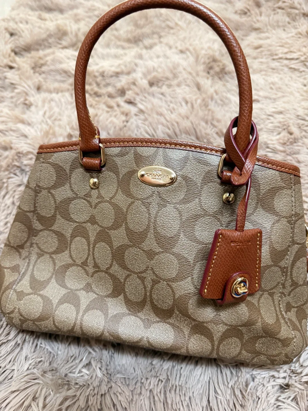 Coach  Bag image indicator(6)
