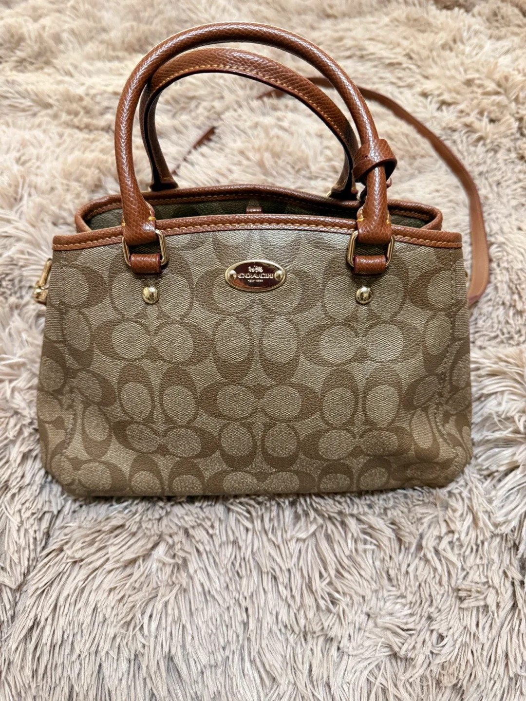 Coach  Bag image indicator(2)