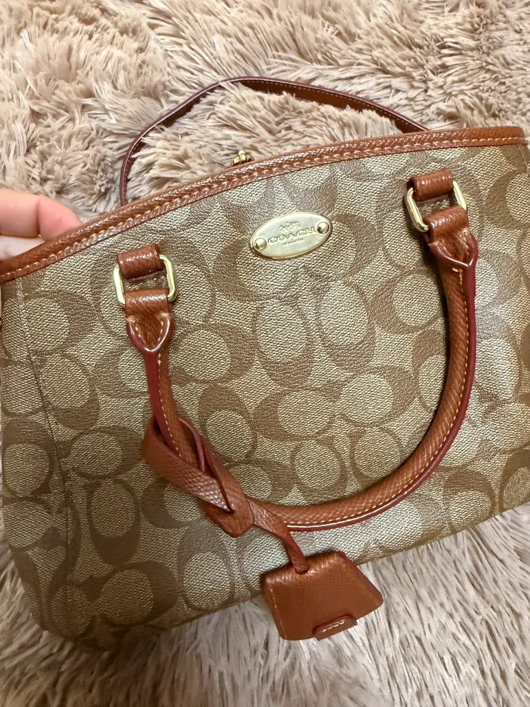 Coach  Bag image indicator(3)