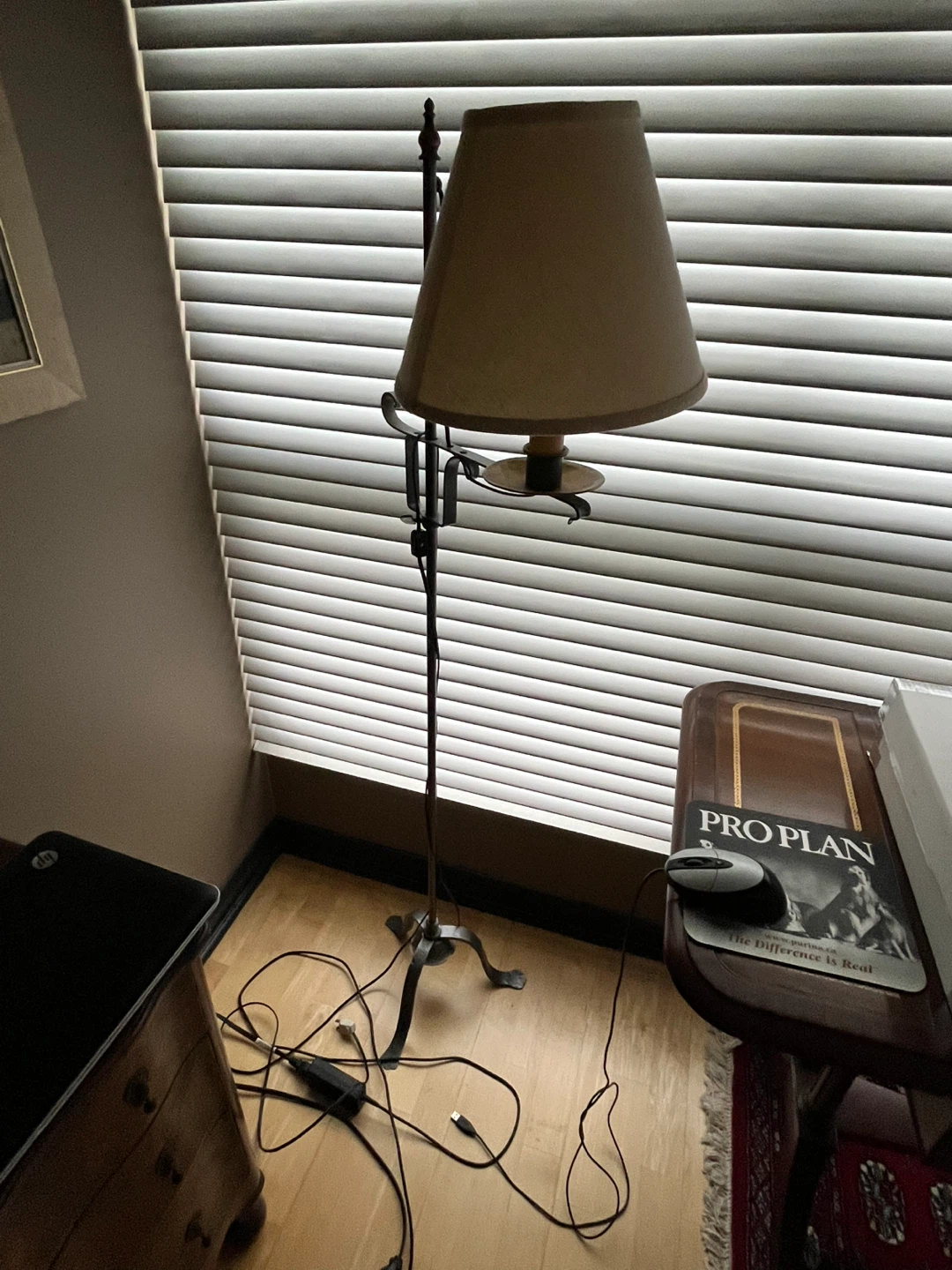 Floor Lamp