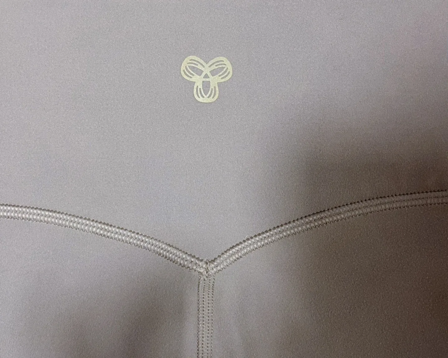 New-Aritzia Golden Leggings-Size 0 image indicator(3)