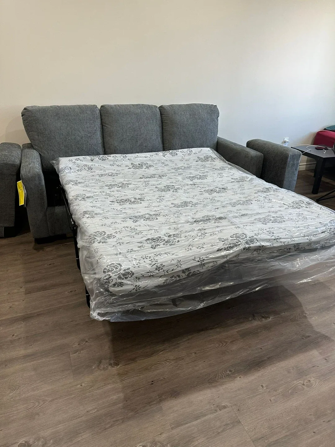 Sofa with Pullout Bed / Mattress – Great Condition