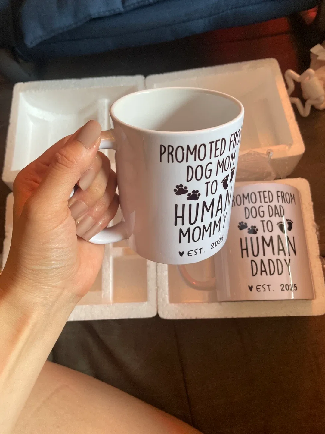 Matching 'Dog Mom/Dad to Human' Mugs - New! image indicator(2)