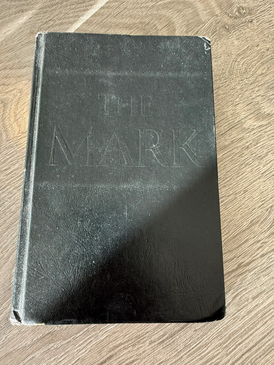 THE MARK The Beast Rules the World
