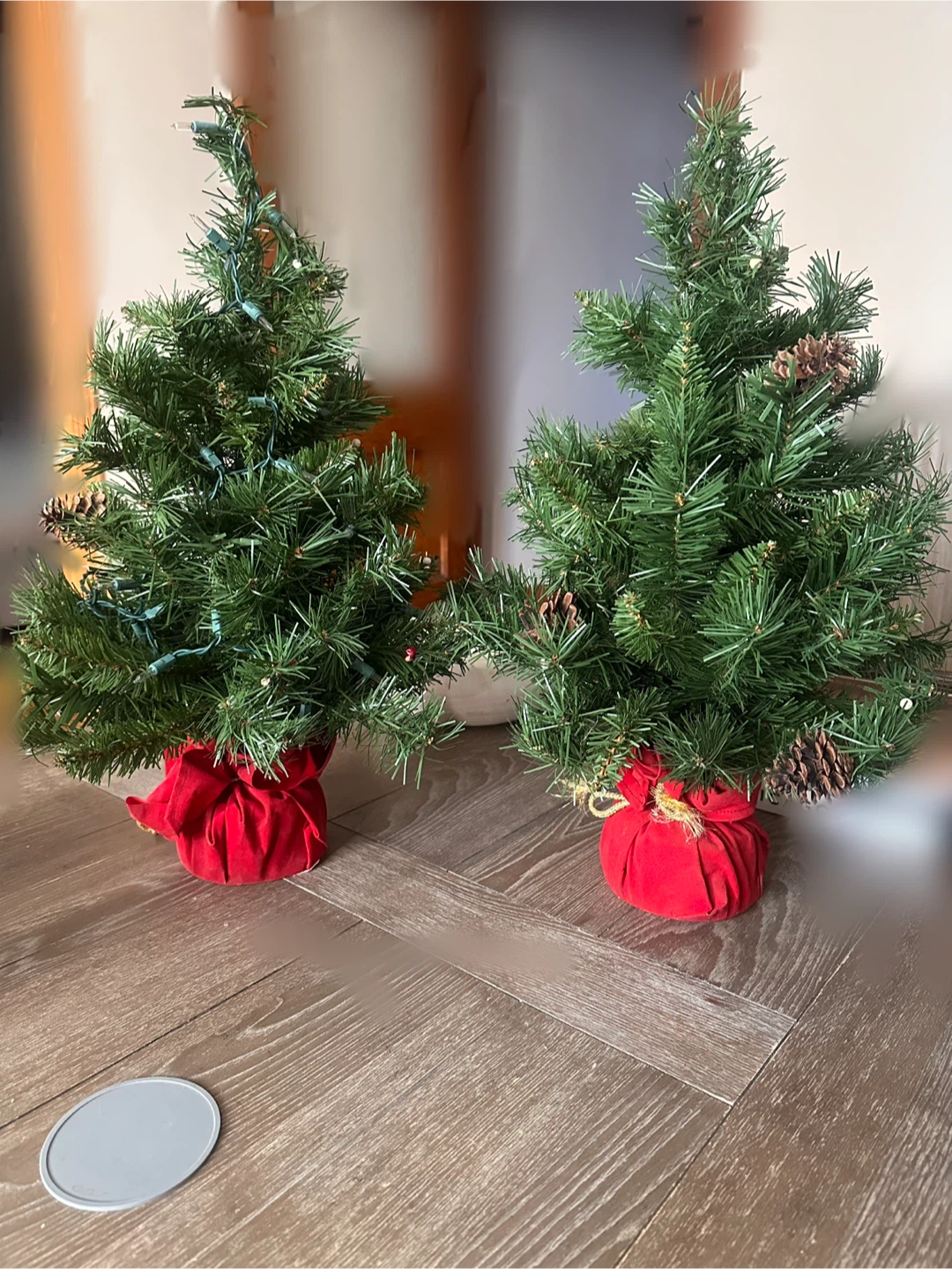 Mini Christmas Trees - Set of 2