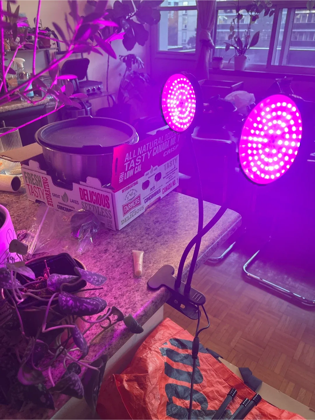 LED Grow Light with Clip image indicator(3)