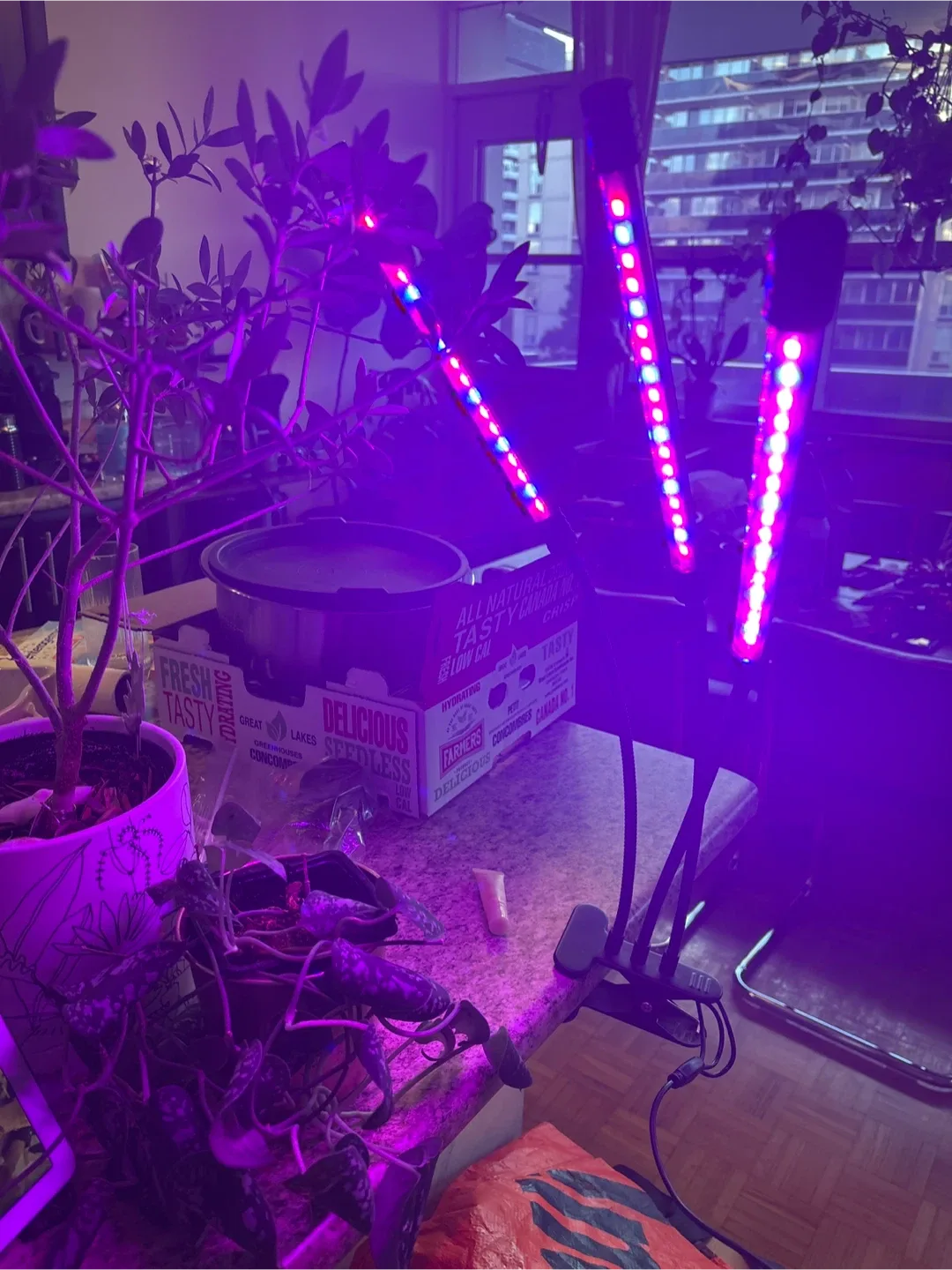 LED Grow Light with Clip image indicator(5)