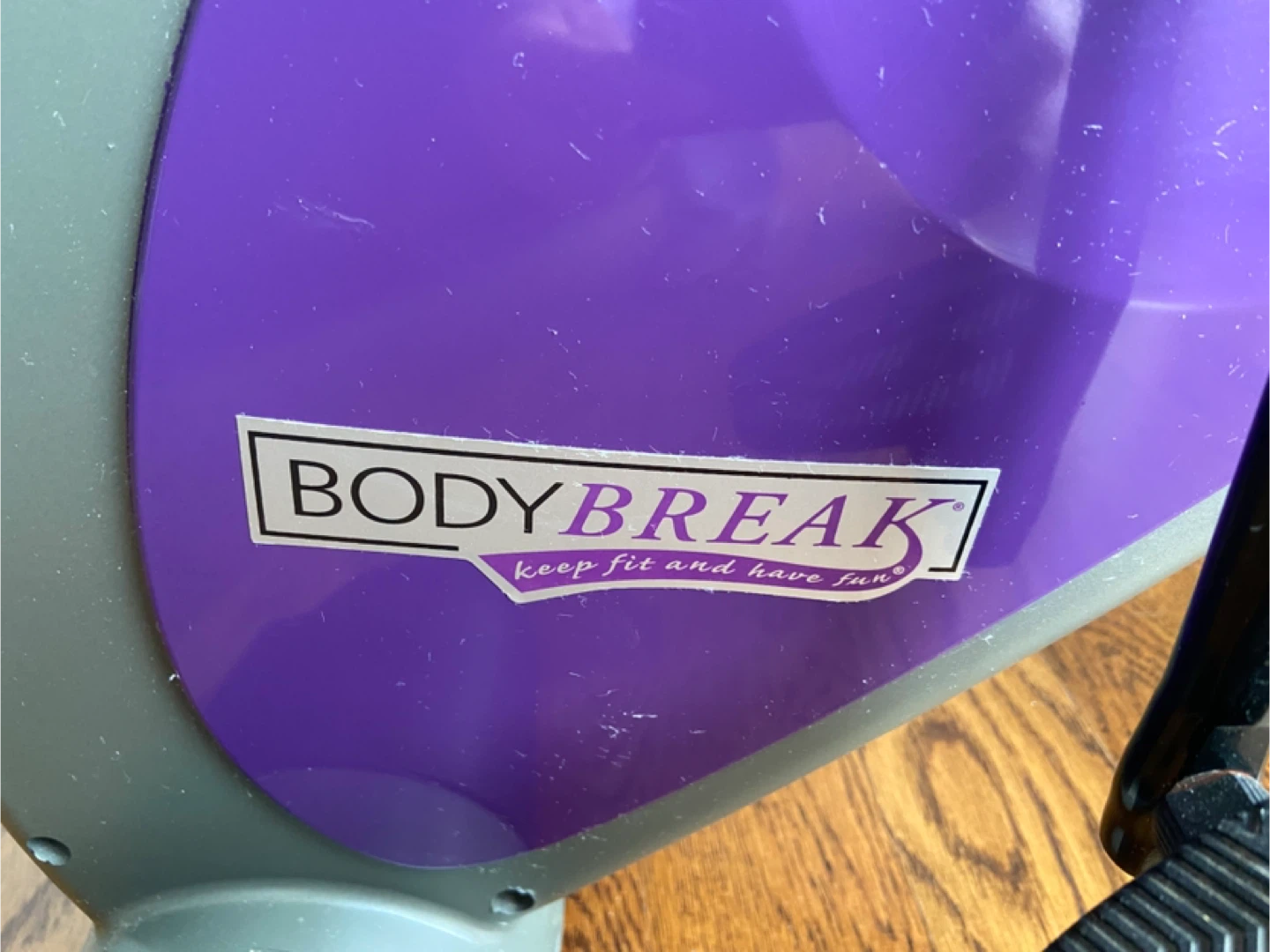 BodyBreak Recumbent Exercise Bike - photo 3