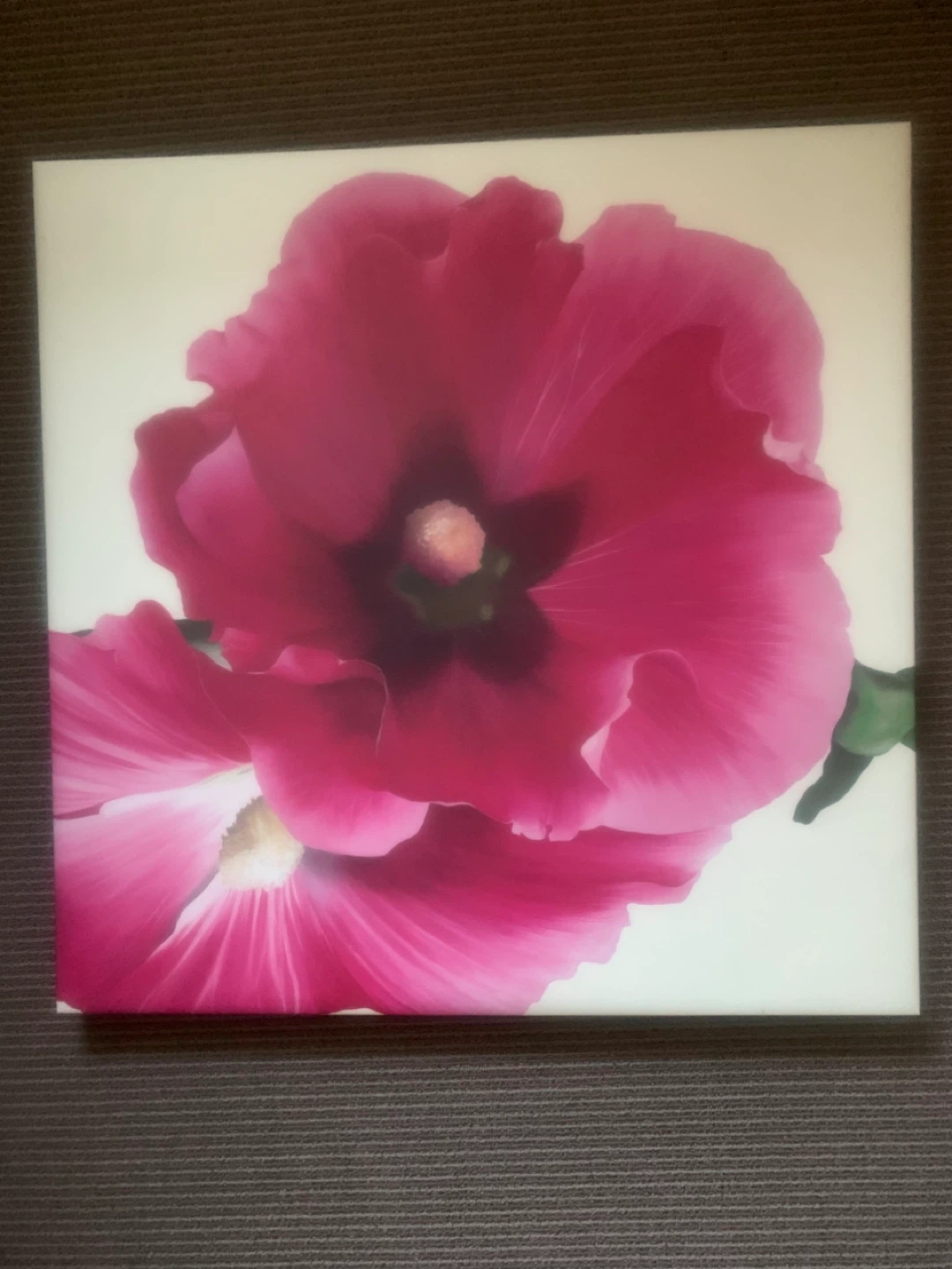 Pink Floral Canvas Art 27”x27”
