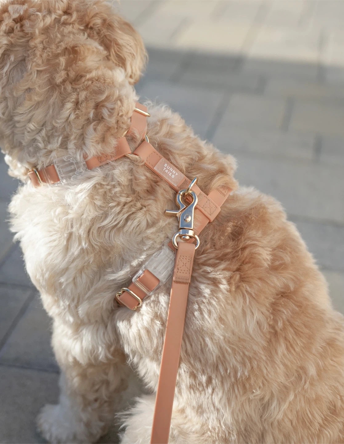 Sunny Tails Cloud Lite Dog Harness - Chai Brown, Size S - photo 2