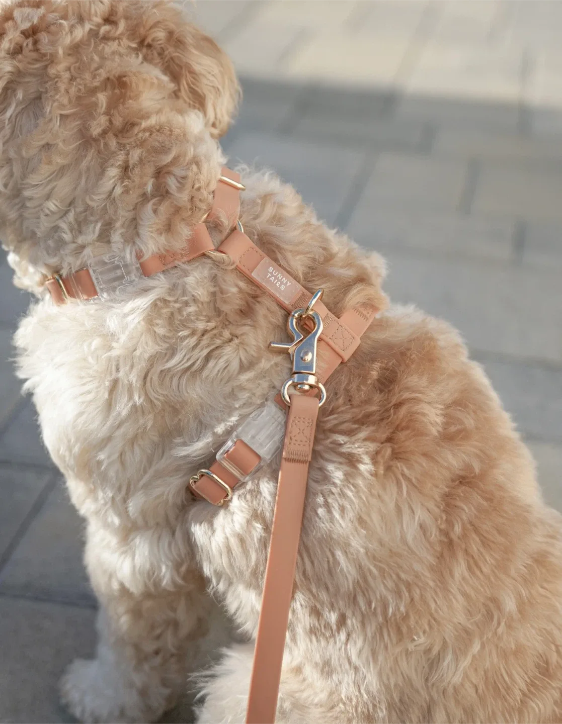 Sunny Tails Cloud Lite Dog Harness - Chai Brown, Size S image indicator(2)