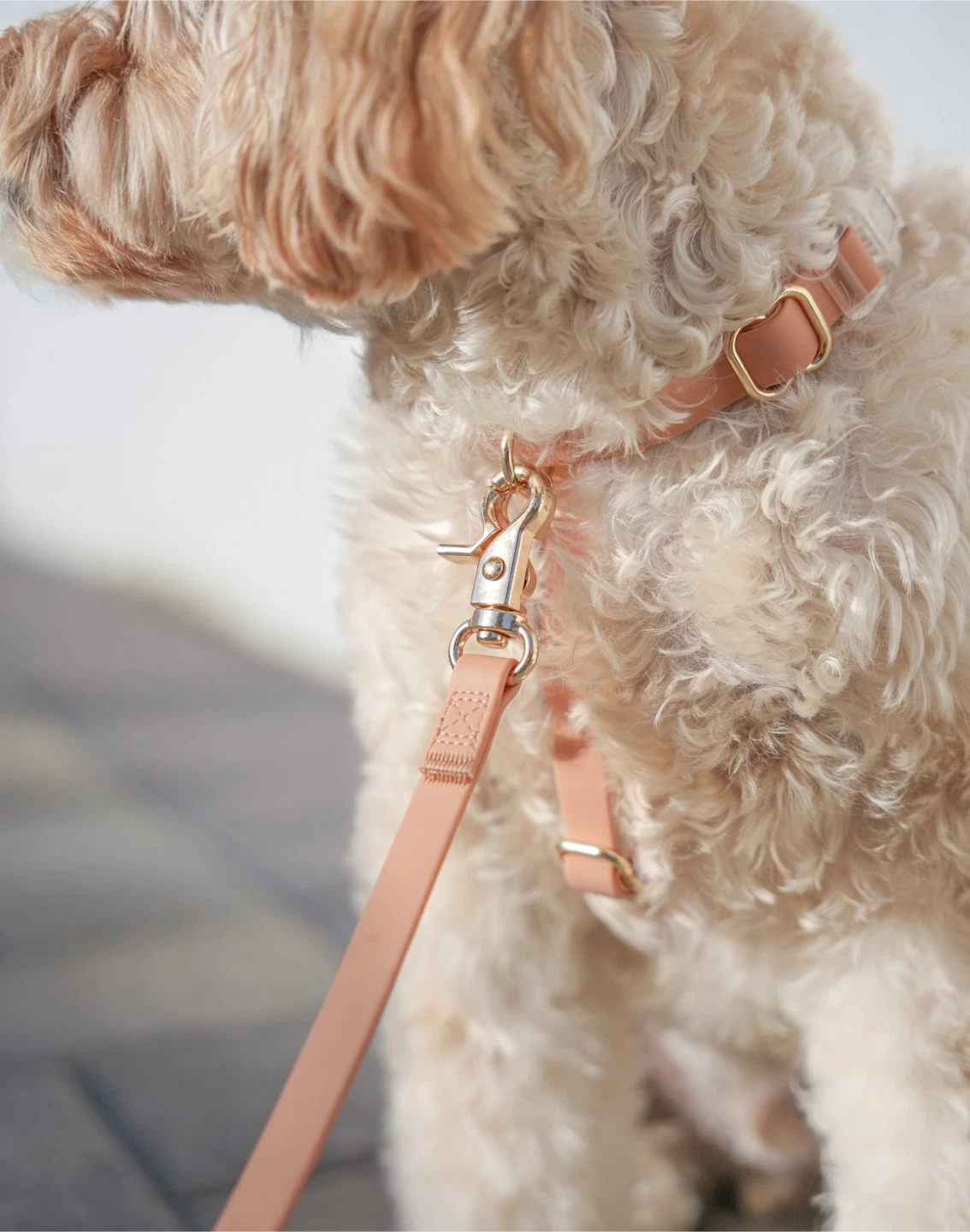 Sunny Tails Cloud Lite Dog Harness - Chai Brown, Size S