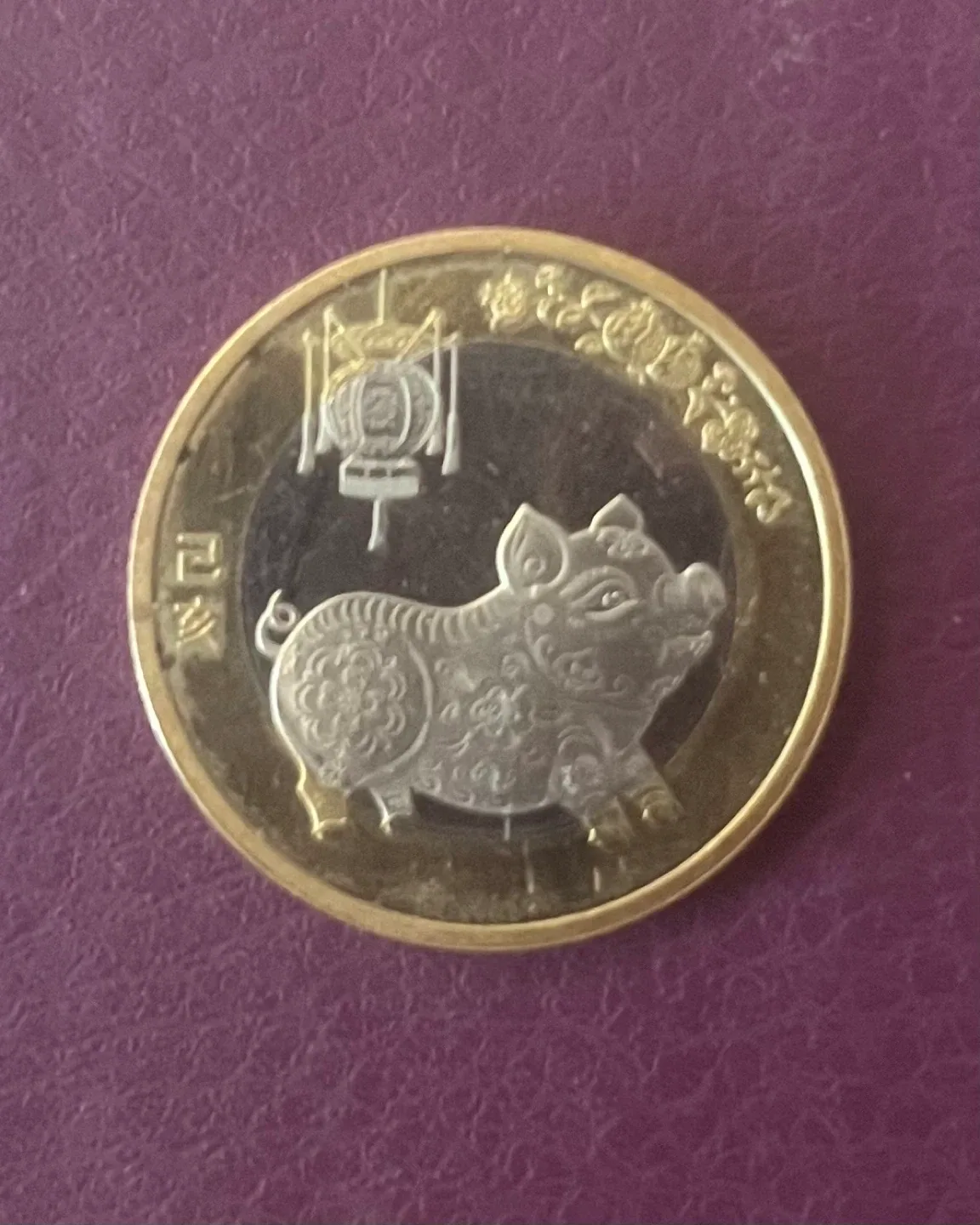 Chinese 10 Yuan Pig Coin - 2019 thumbnail