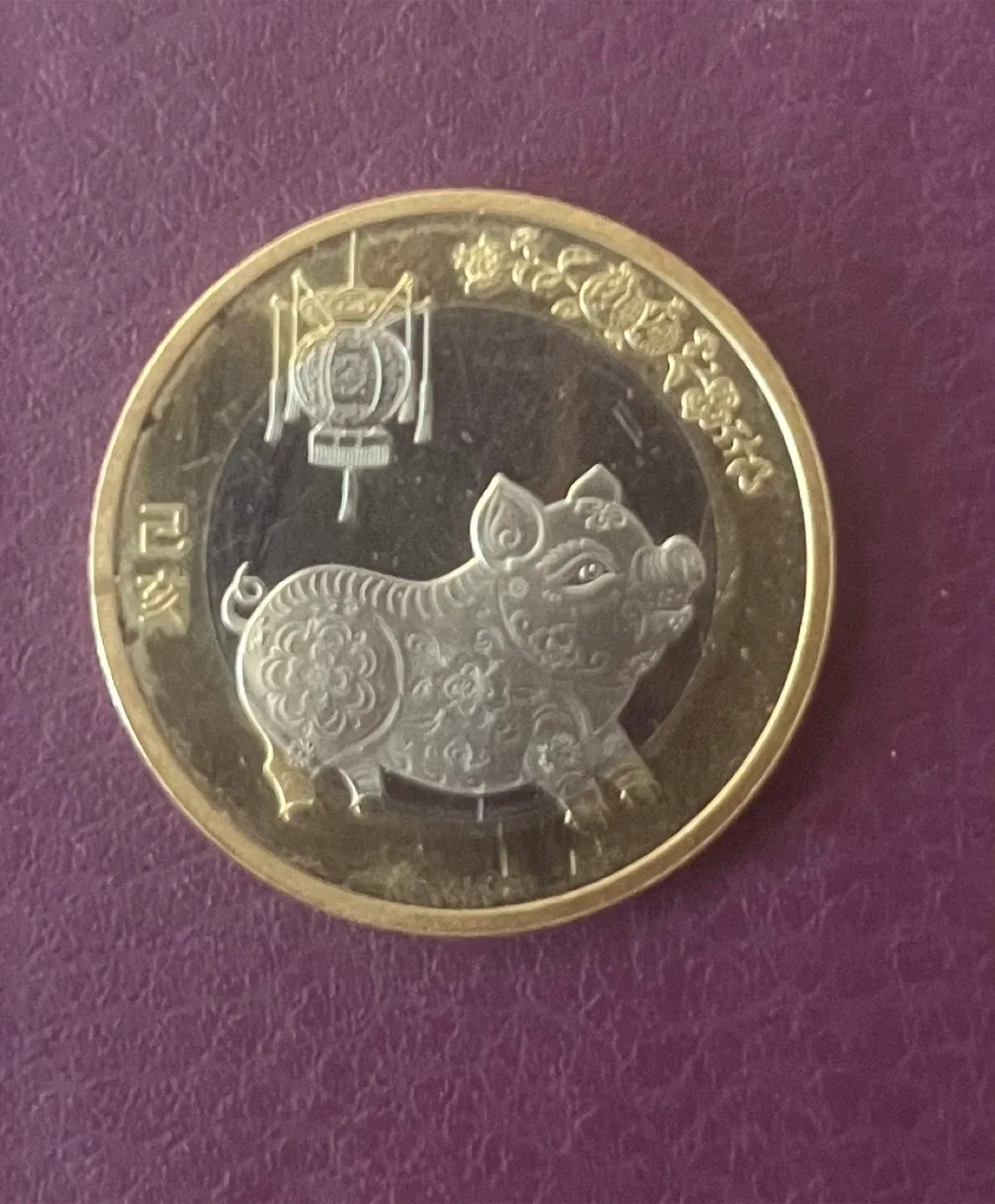 Chinese 10 Yuan Pig Coin - 2019 image indicator(3)