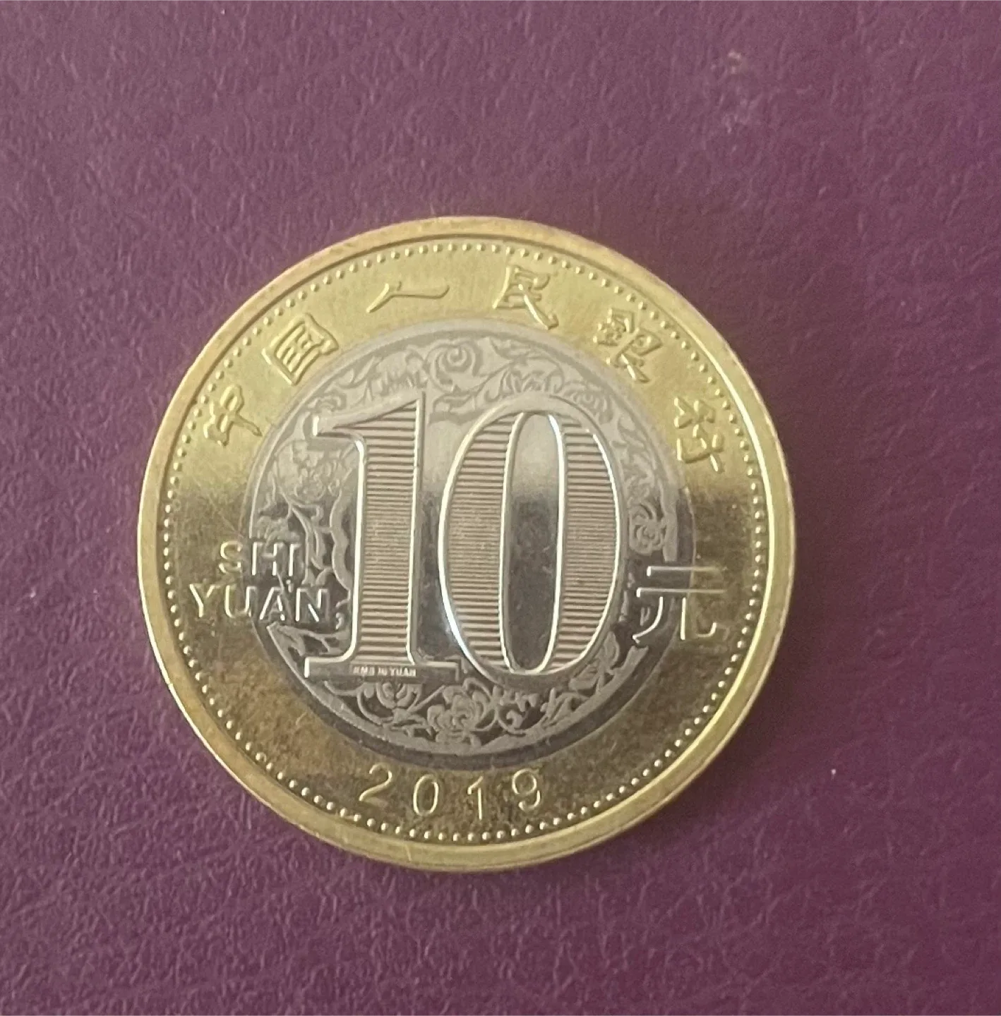 Chinese 10 Yuan Pig Coin - 2019 image indicator(2)