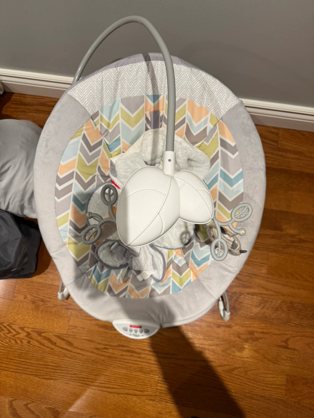 Baby Bouncer