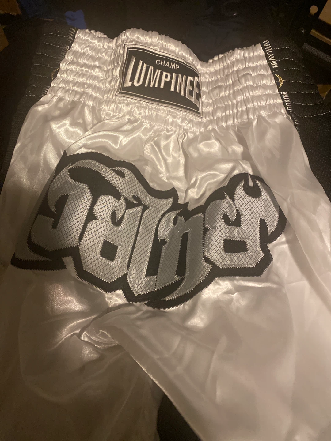 Fairtex Lumpinee Muay Thai Boxing Shorts