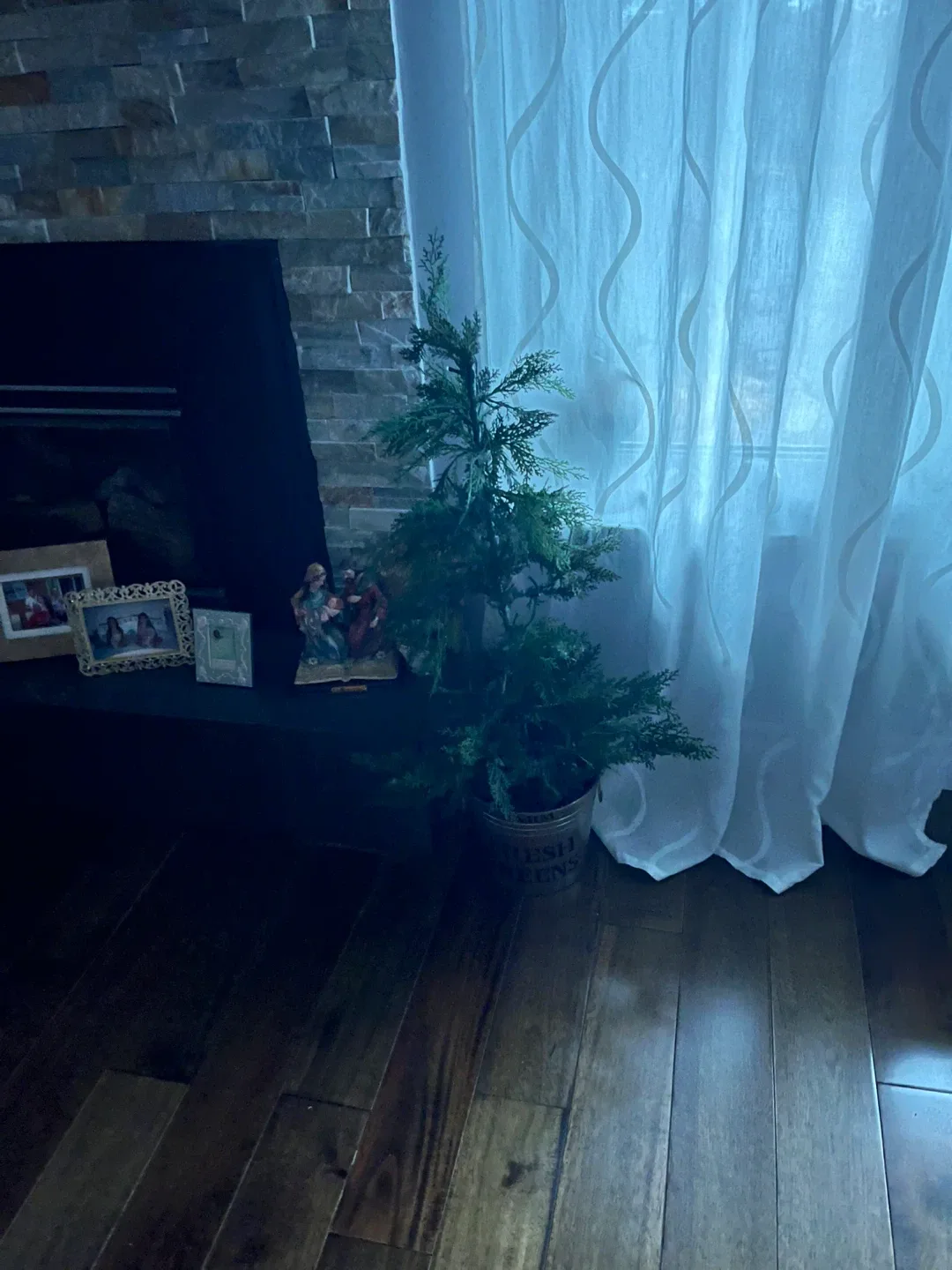 Farm Fresh Greens Faux Cedar Tree in Metal Bucket image indicator(8)